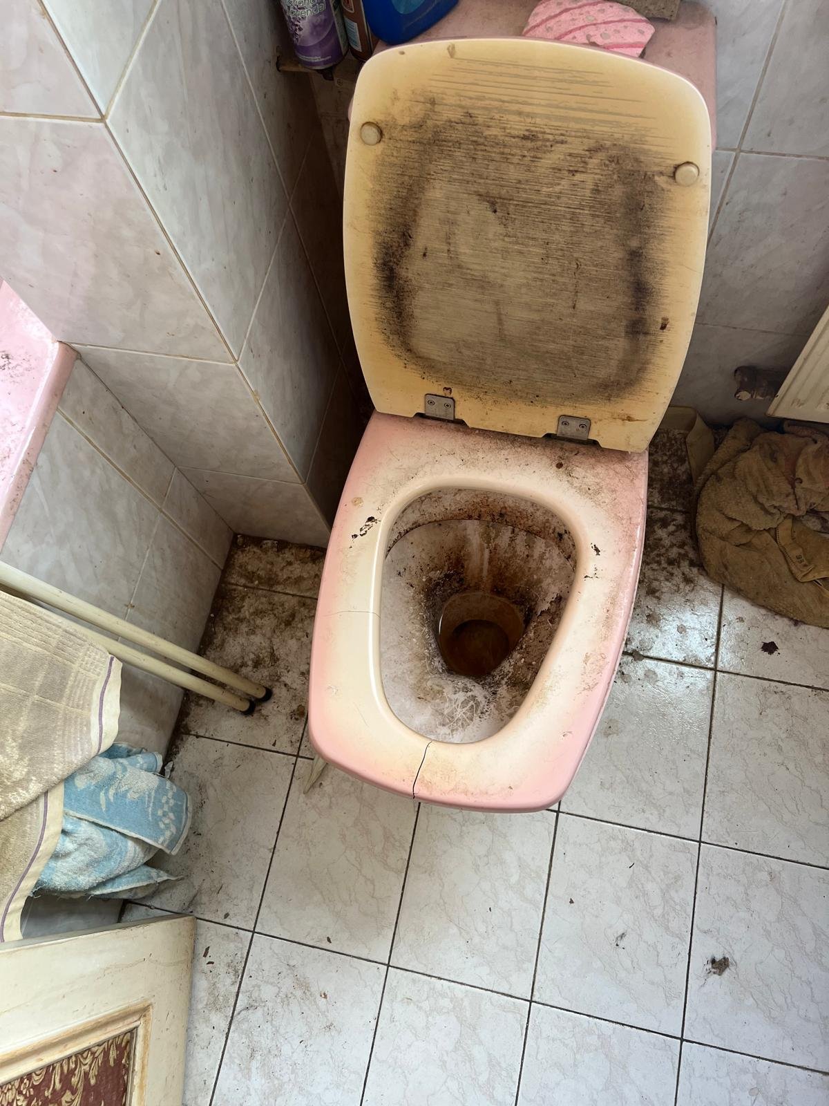WC — désinfection et remise en état — avant
